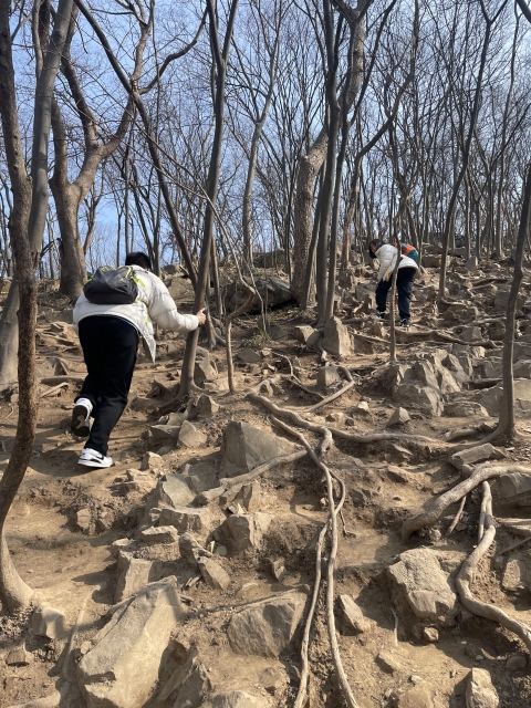 骐骥驰骋，势不可挡